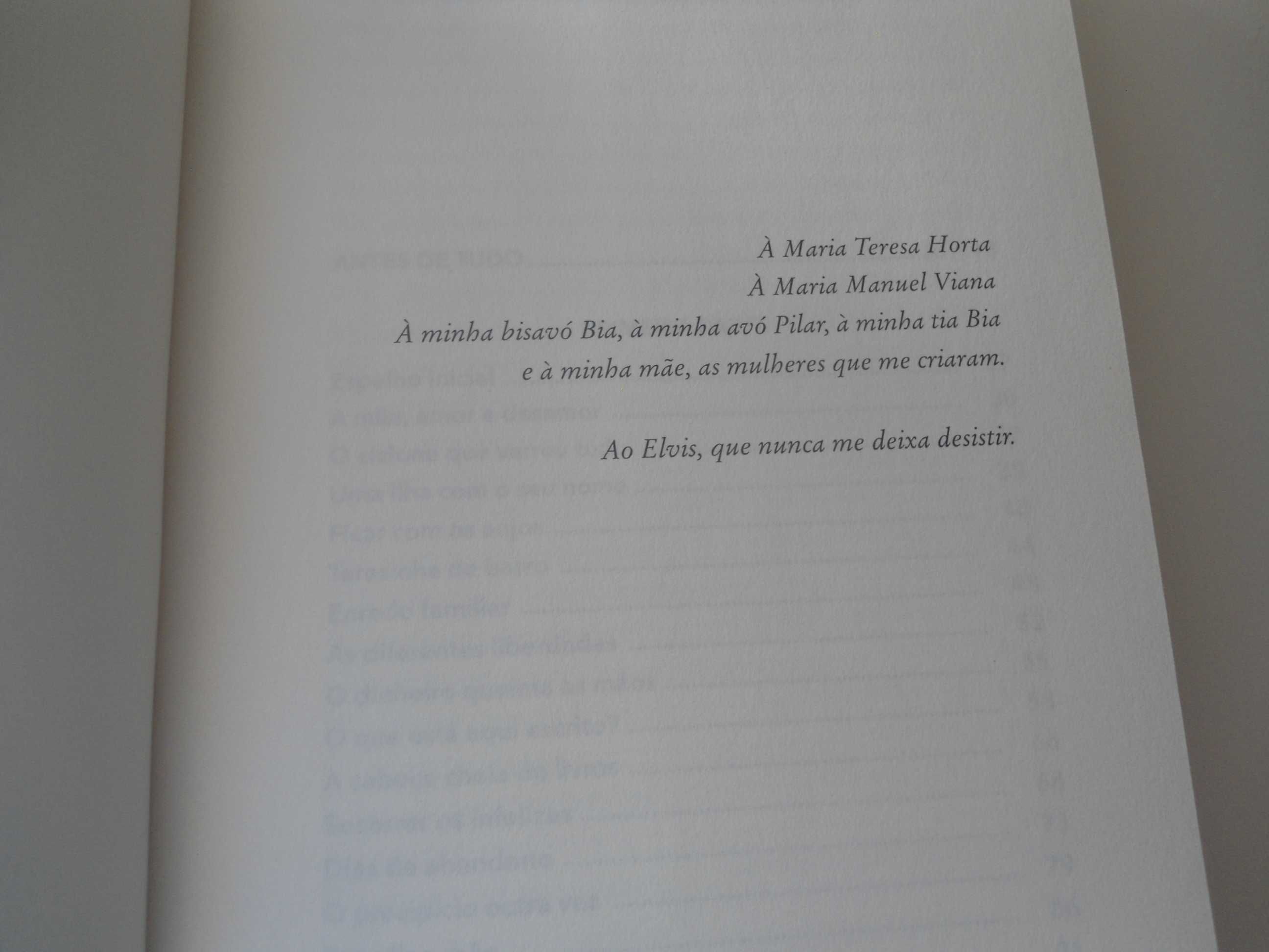 A desobediente (Biografia de Mª Teresa Horta) por Patrícia Reis