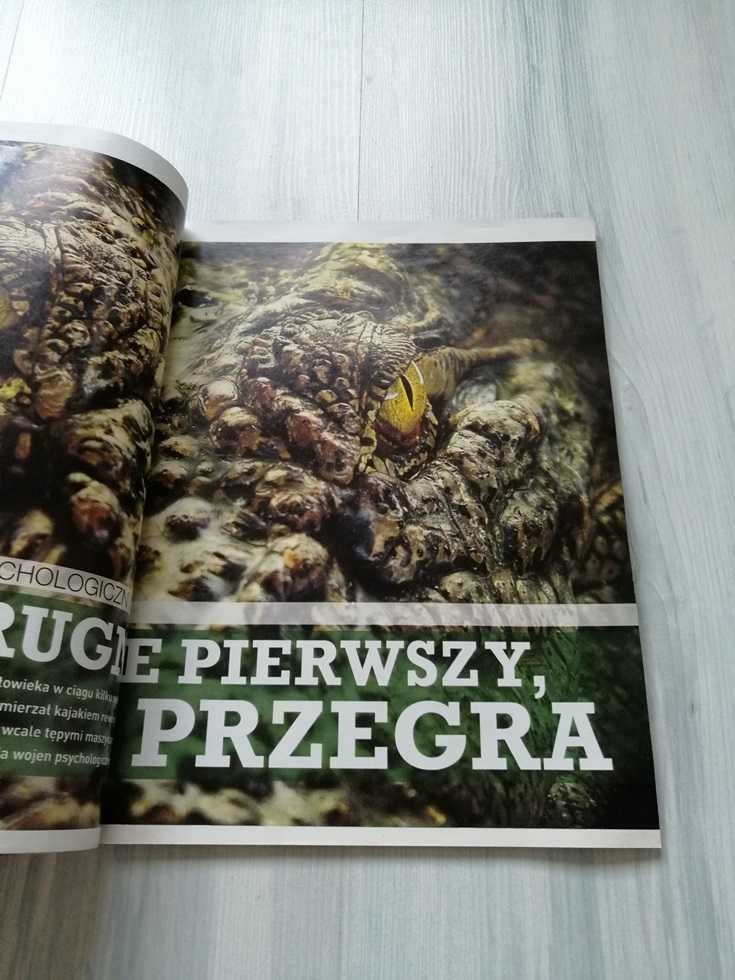 Gazeta / magazyn / czasopismo Świat Wiedzy. Egz. lipiec 2013, 7/2013.