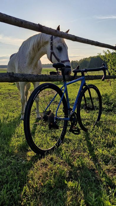 Kross Esker 4.0 KRX Rama S.