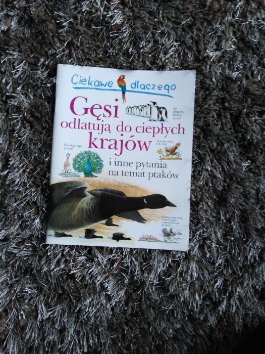 książka "Gęsi odlatują do ciepłych krajów"