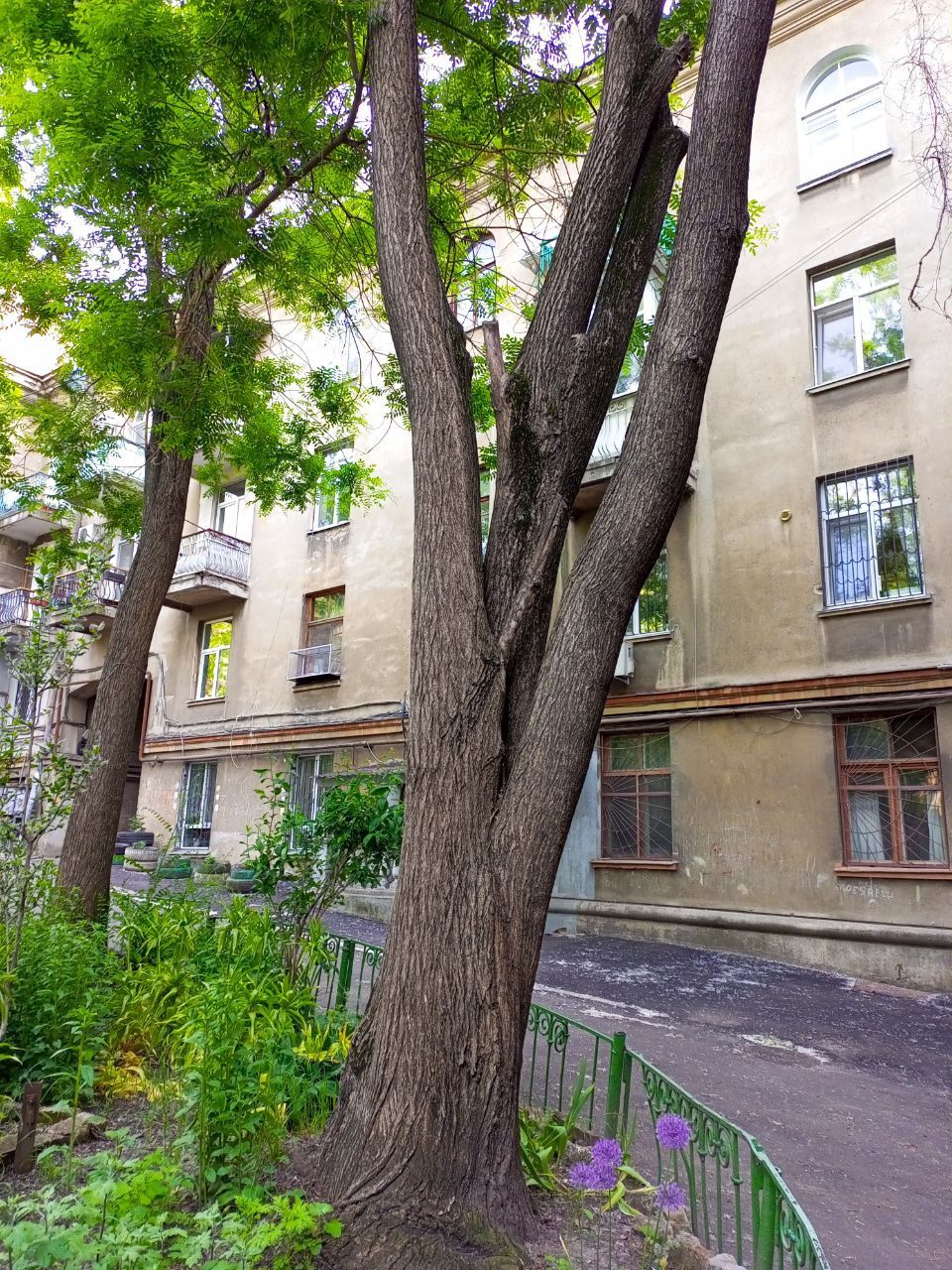 Здам 2 кімн.кв.,Ольгіївський спуск/ Балківська