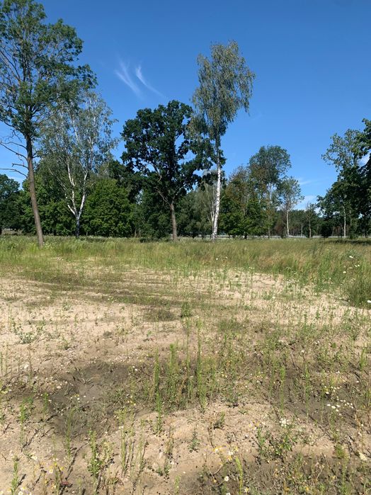 Działka budowlana w Skórzewie nad jeziorem