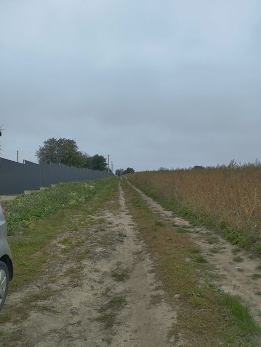 Продам будинок в селі Дермань 3.5га