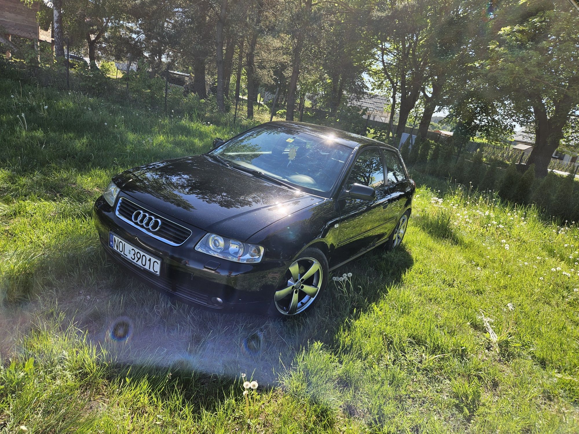 Audi a3 1.9 Tdi quattro jedyny w takiej konfiguracji