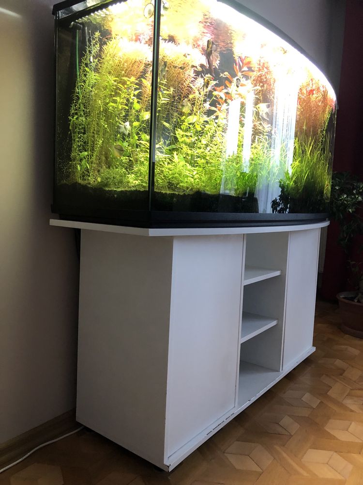 Akwarium panoramiczne 150x60x60 - 450 l z pełnym wyposażeniem i życie