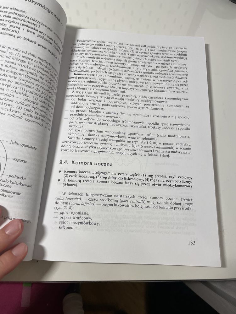 Neuroanatomia czynnościowa i kliniczna Narkiewicz