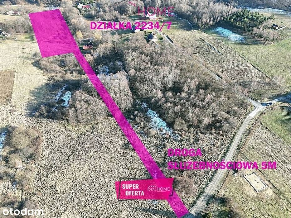 Działka na sprzedaż 97a - Nowy Borek