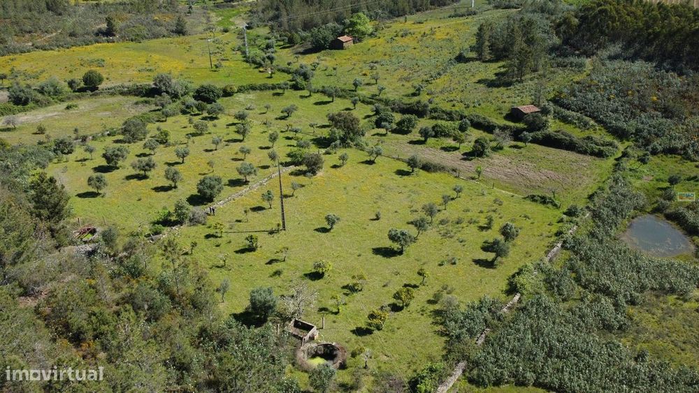 Quinta em Amarelos - 15 min. Castelo Branco