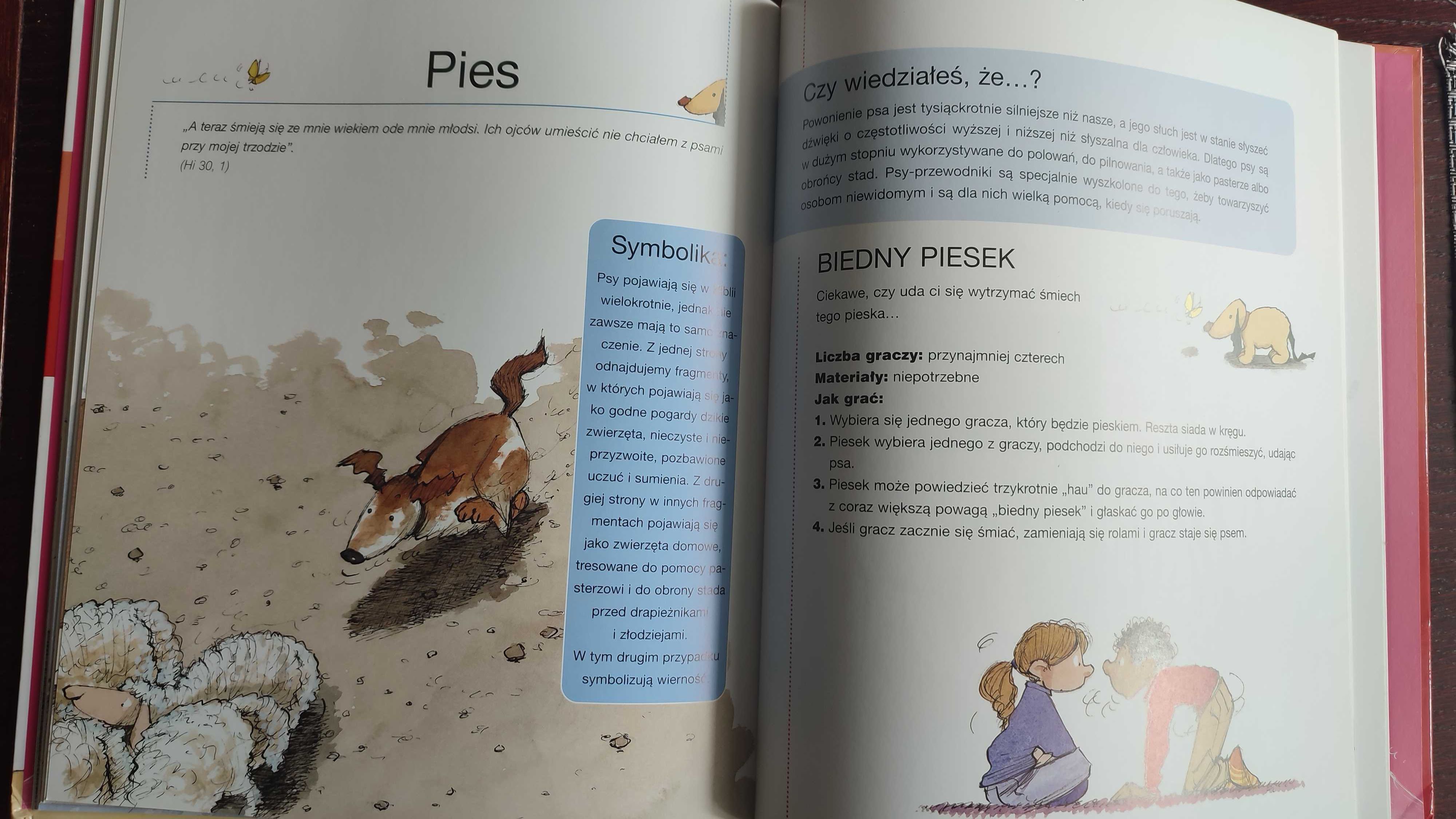 Książka Baw się ze zwierzętami z Biblii wyd. Święty Wojciech