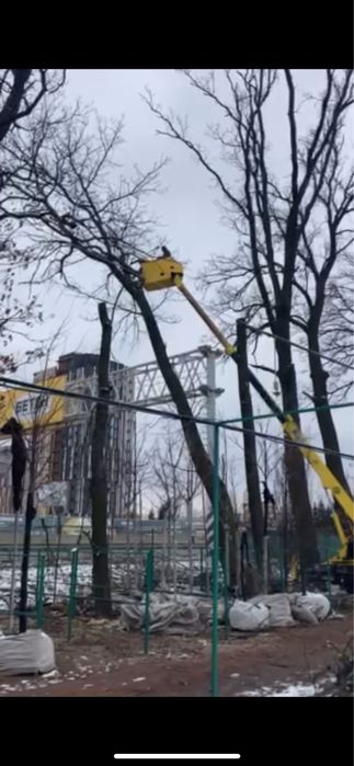 Обрезка деревьев