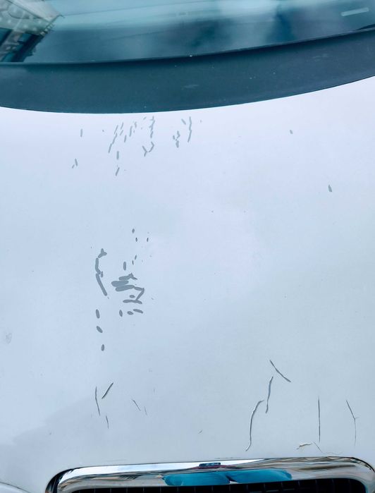 Seat Leon 1P 1.9 TDI 105cv