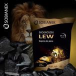 ekogroszek LEW sprawdzony WĘGIEL