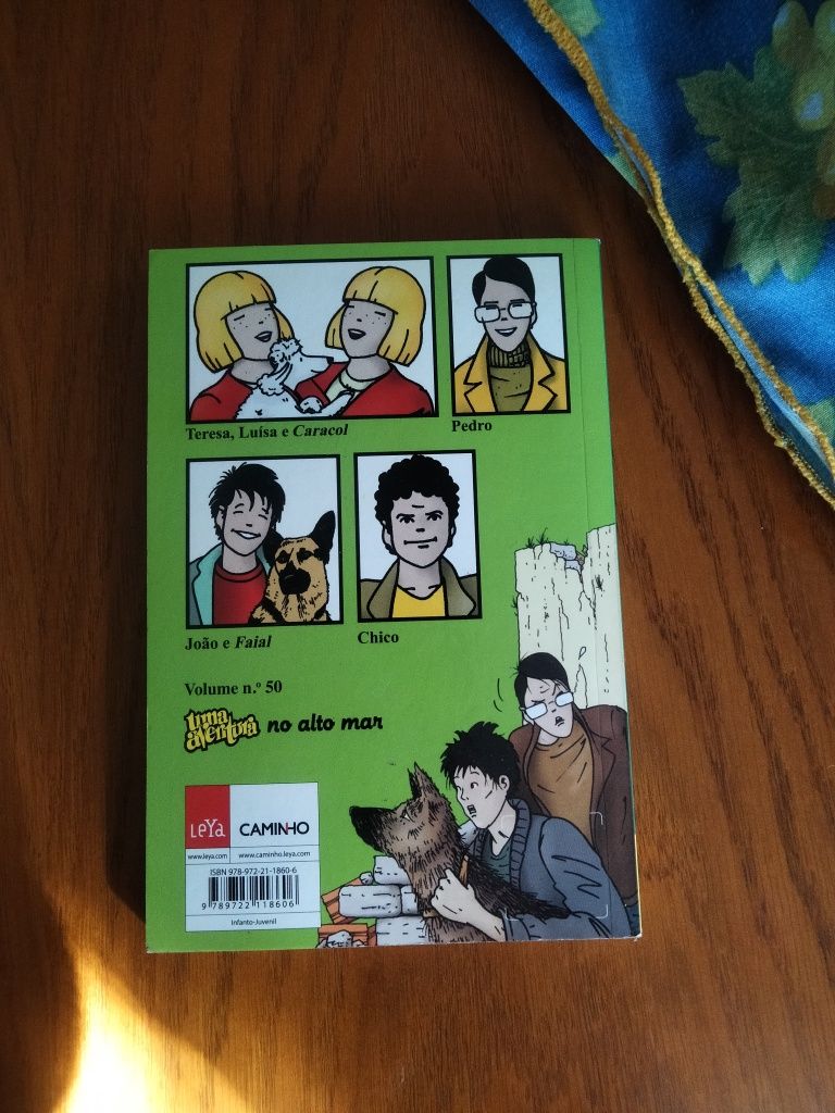 Livro " Uma aventura no labirinto misterioso"