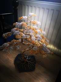 Drzewko bonsai szczęścia