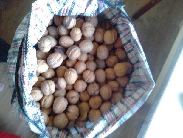 Орехи 40 кг, 1 кг - 20 грн