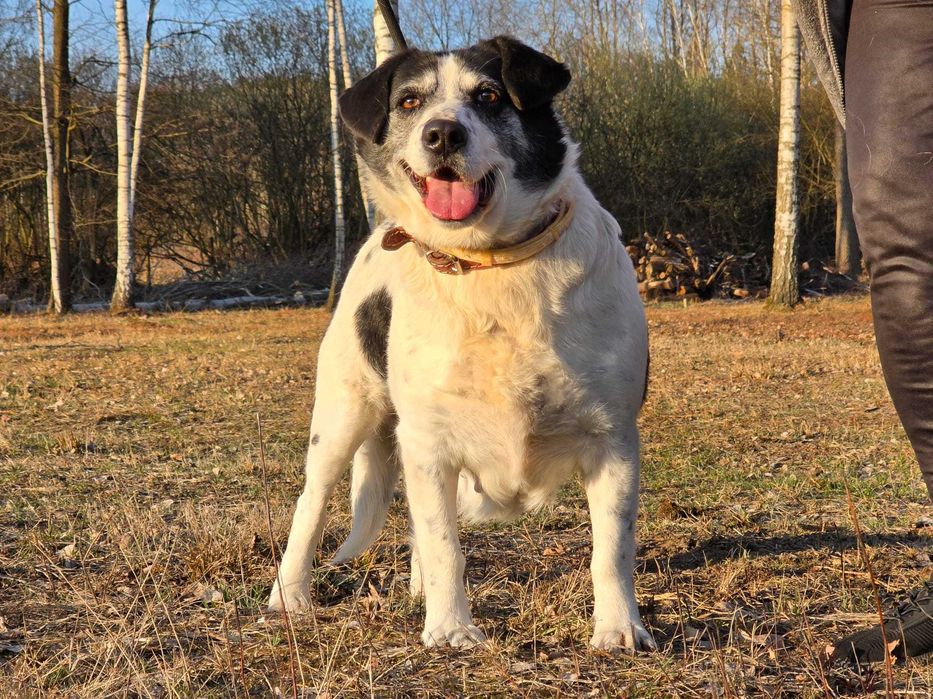 Lila - duże jest piękne