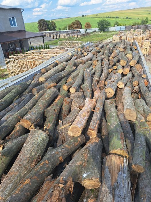 Дрова бук,граб,береза