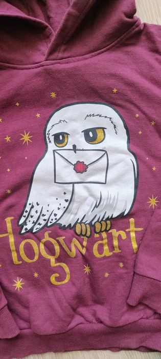 Bluza z kapturem 134