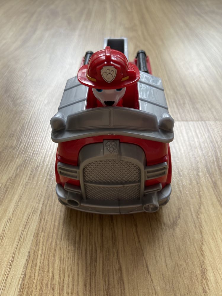 Psi patrol Marshall