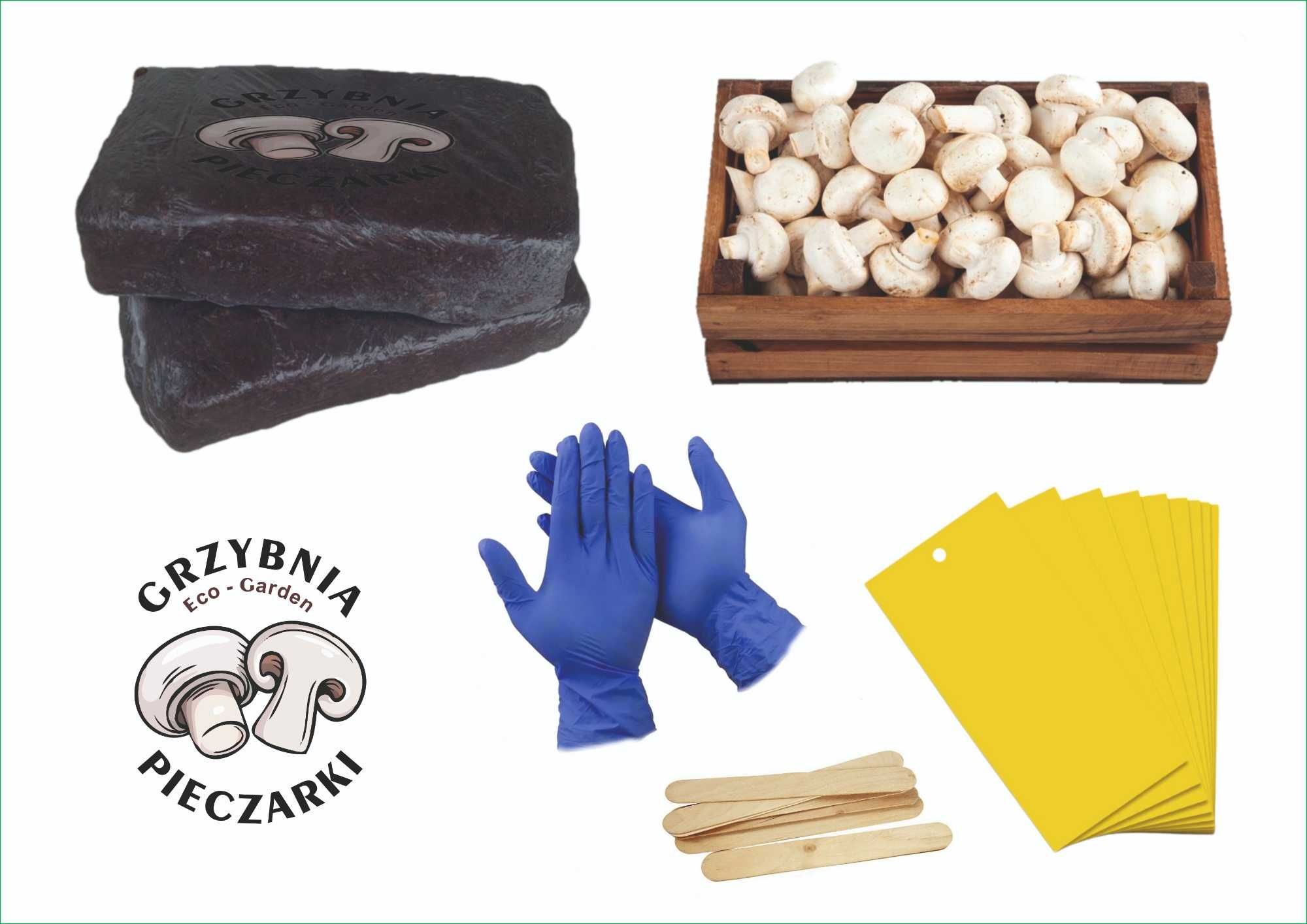 Pieczarki Grzybnia Podłoże 20 KG. !