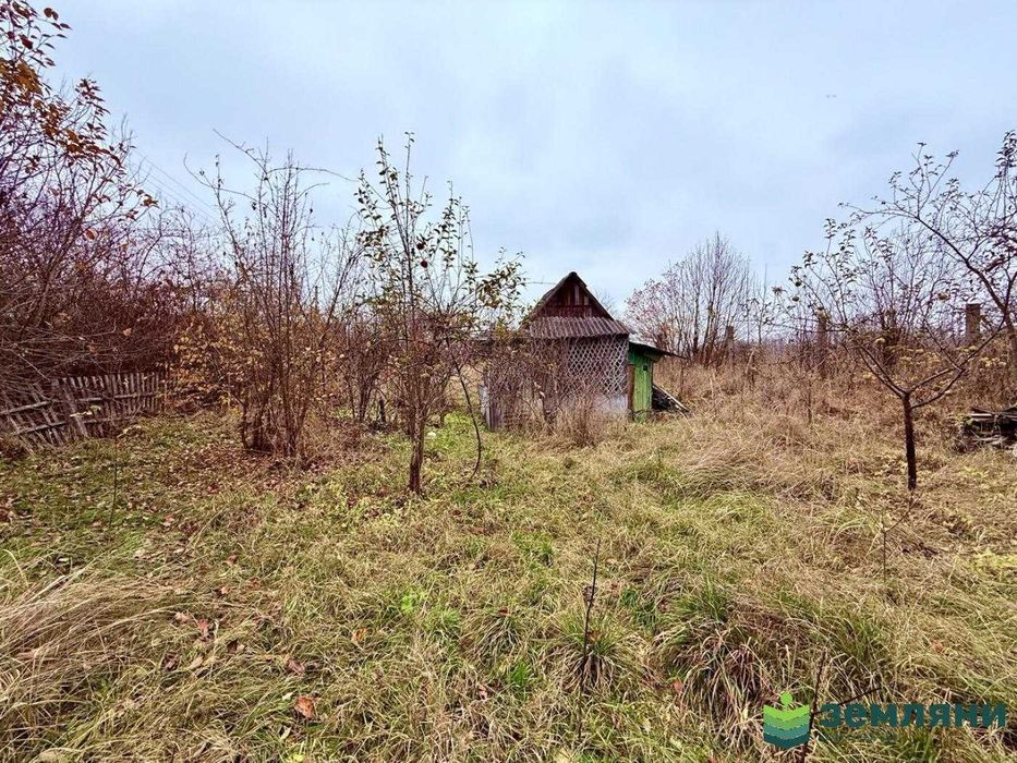 Продається дачна ділянка у с. Хриплин (7)