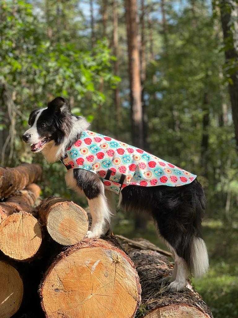 Softshell, ubranko, kurtka dla psa 55cm