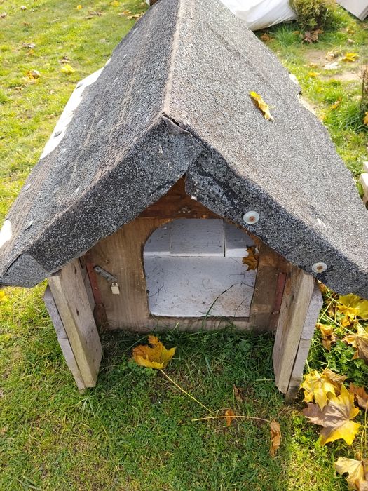 Buda dla psa za darmo