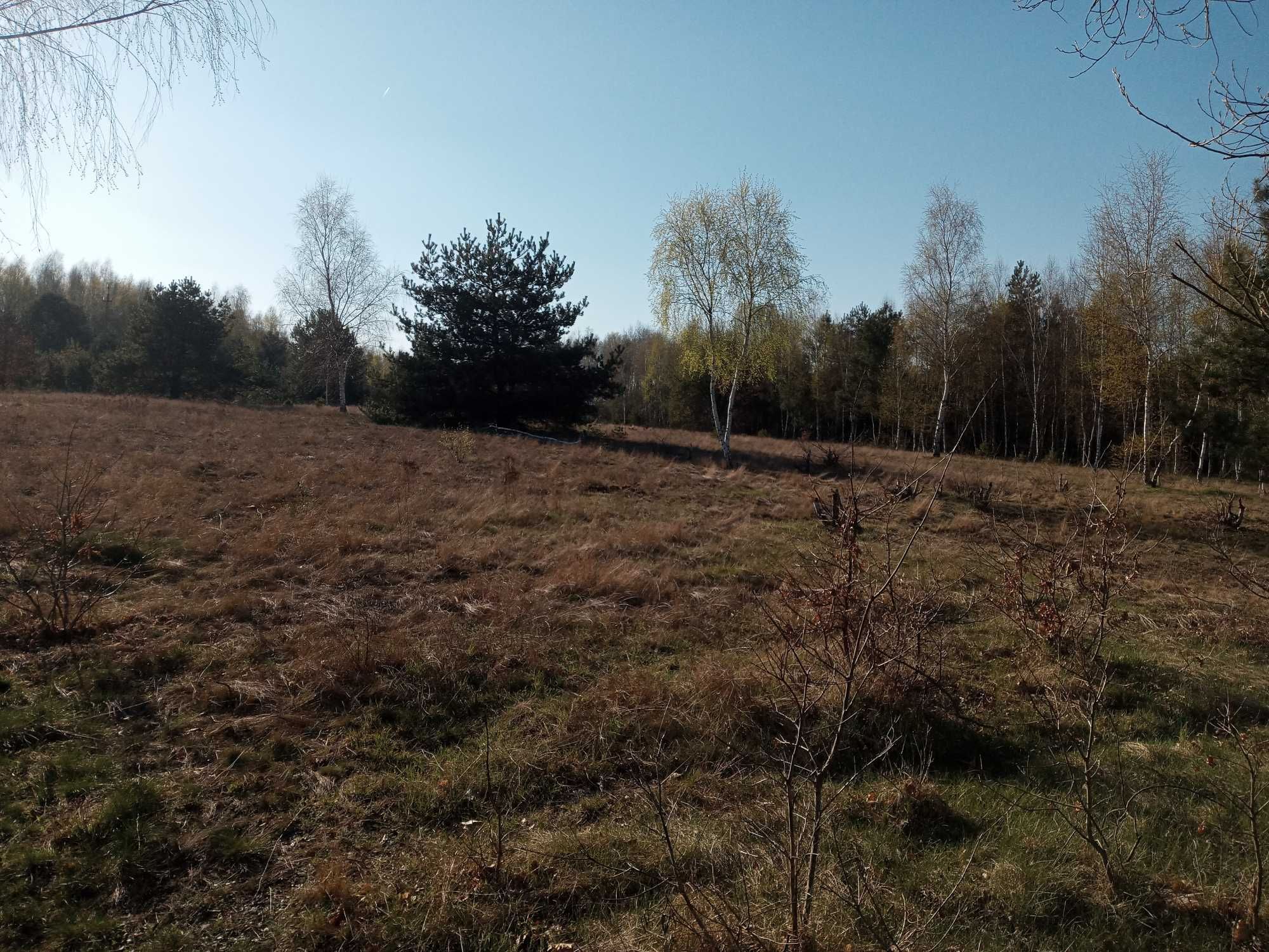 Działka budowlano-rolna 13 800m.kw. nad rzeką