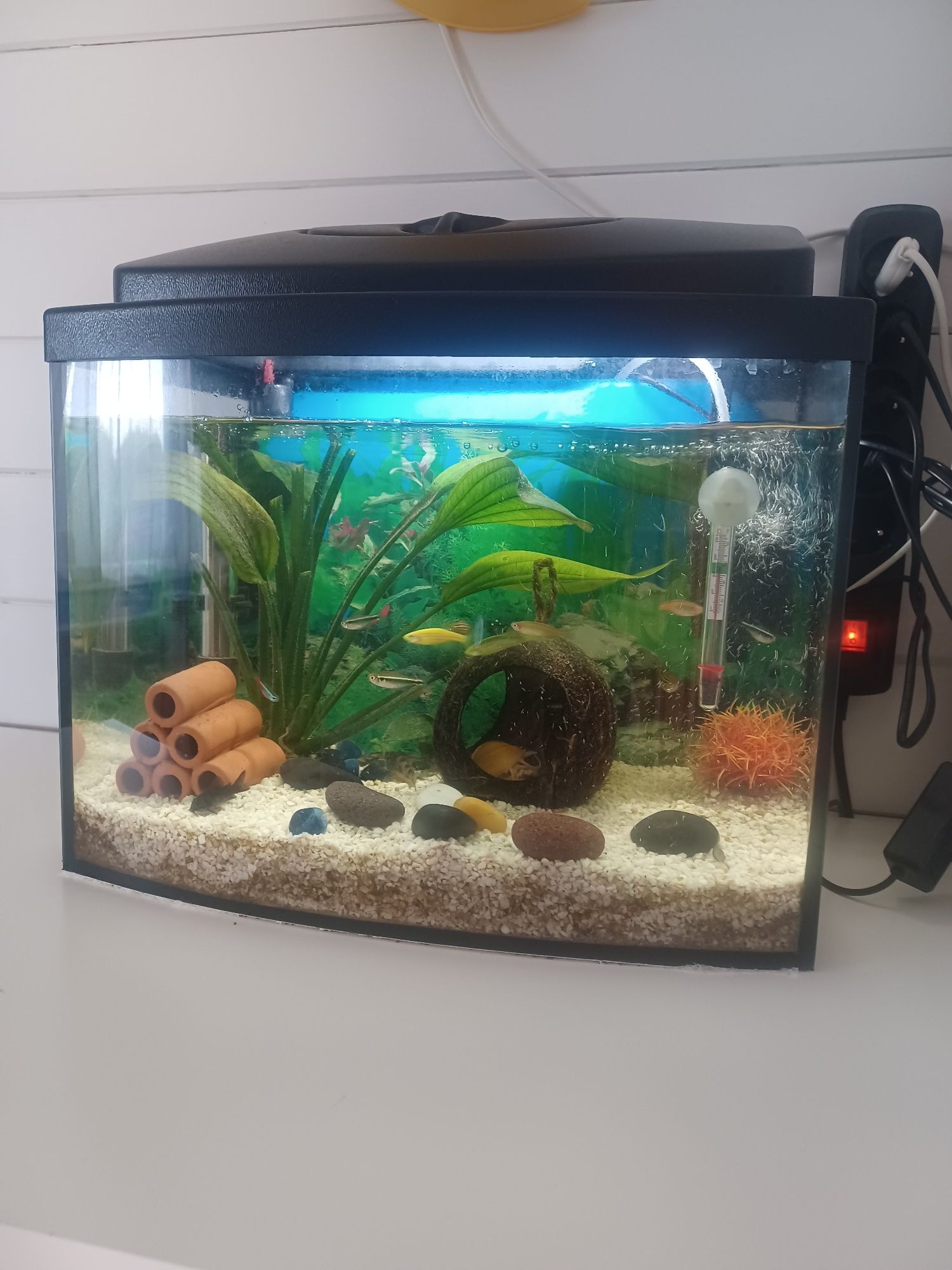 Akwarium 30 l kupione 3mce temu