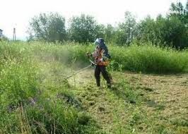 koszenie trawy pielęgnacja ogrodów sprzątanie liści, faktura vat