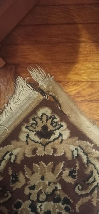 Палас, килим на підлогу