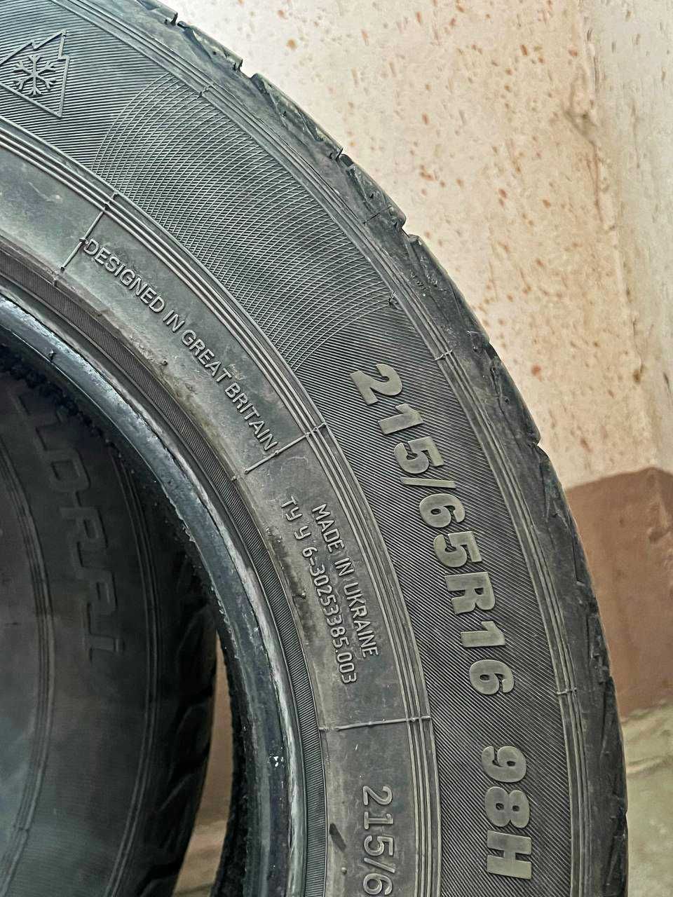 Зимові шини Premiorri ViaMaggiore Z Plus 215/65 R16 98H