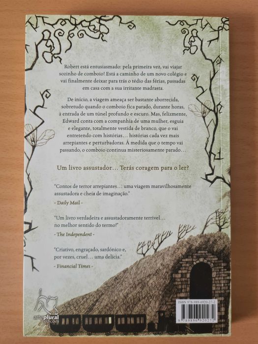 Livro juvenil "As Histórias de Terror da Entrada do Túnel"