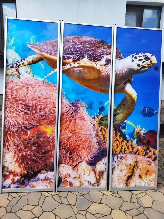 Продам двери фасады на шкаф-купе