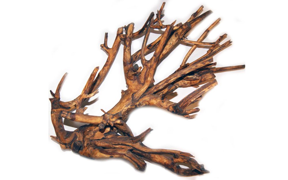 Коряга в террариум Коряга для декора интерьера Море Дерево Акация