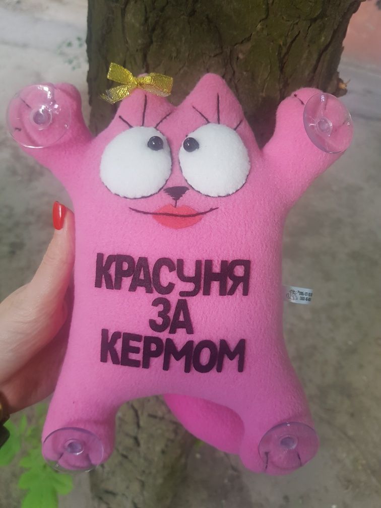 Кот Саймон в авто для леди