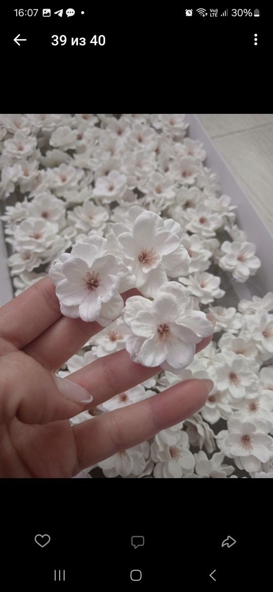 Mydlane kwiaty Sakura