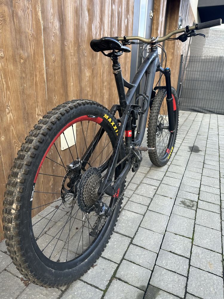 NS Snabb czarny fox xtr