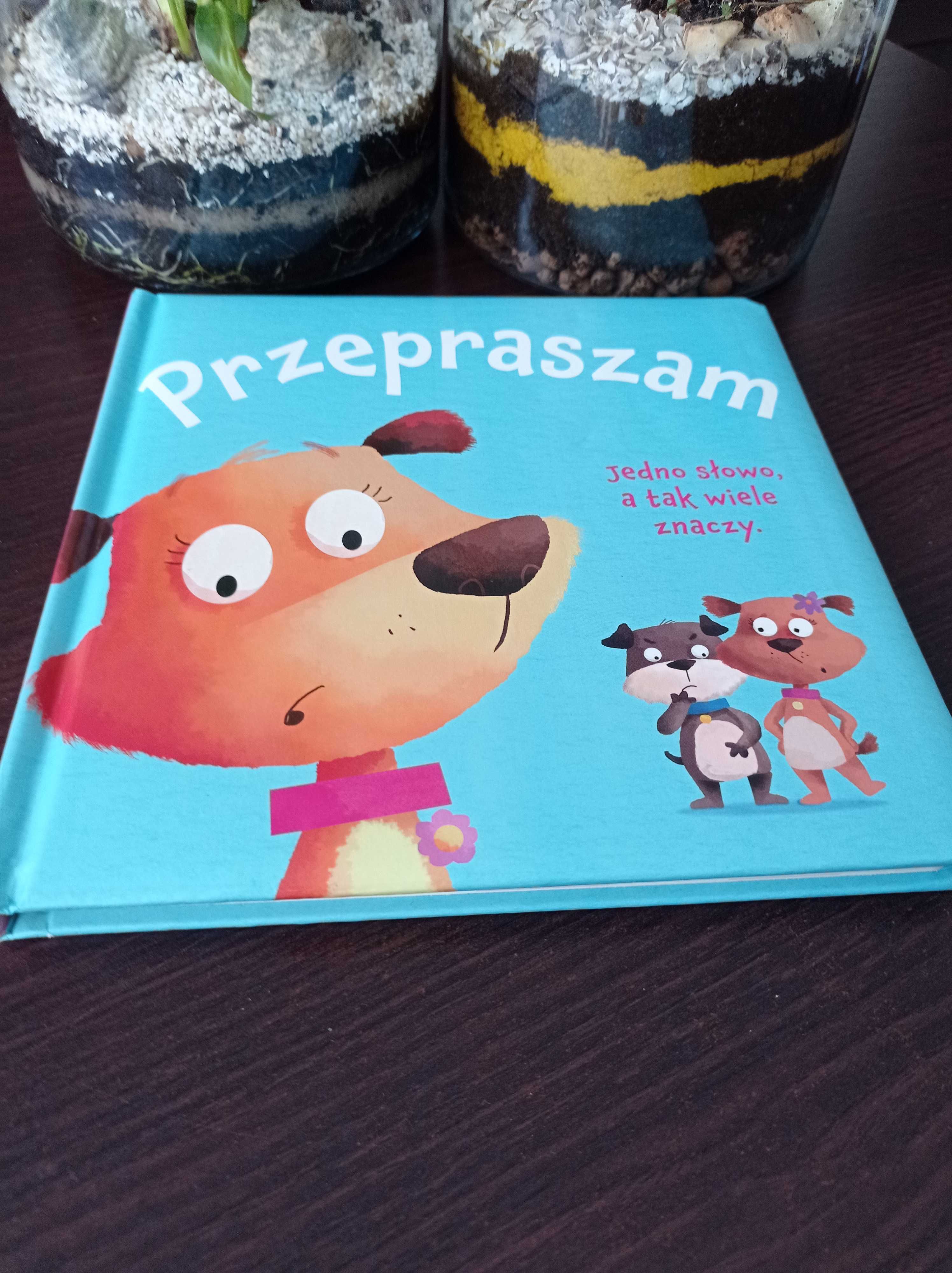 Książka dla najmłodszych pt."Przepraszam"