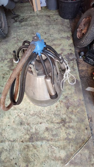 Sprzedam Kane do mleka