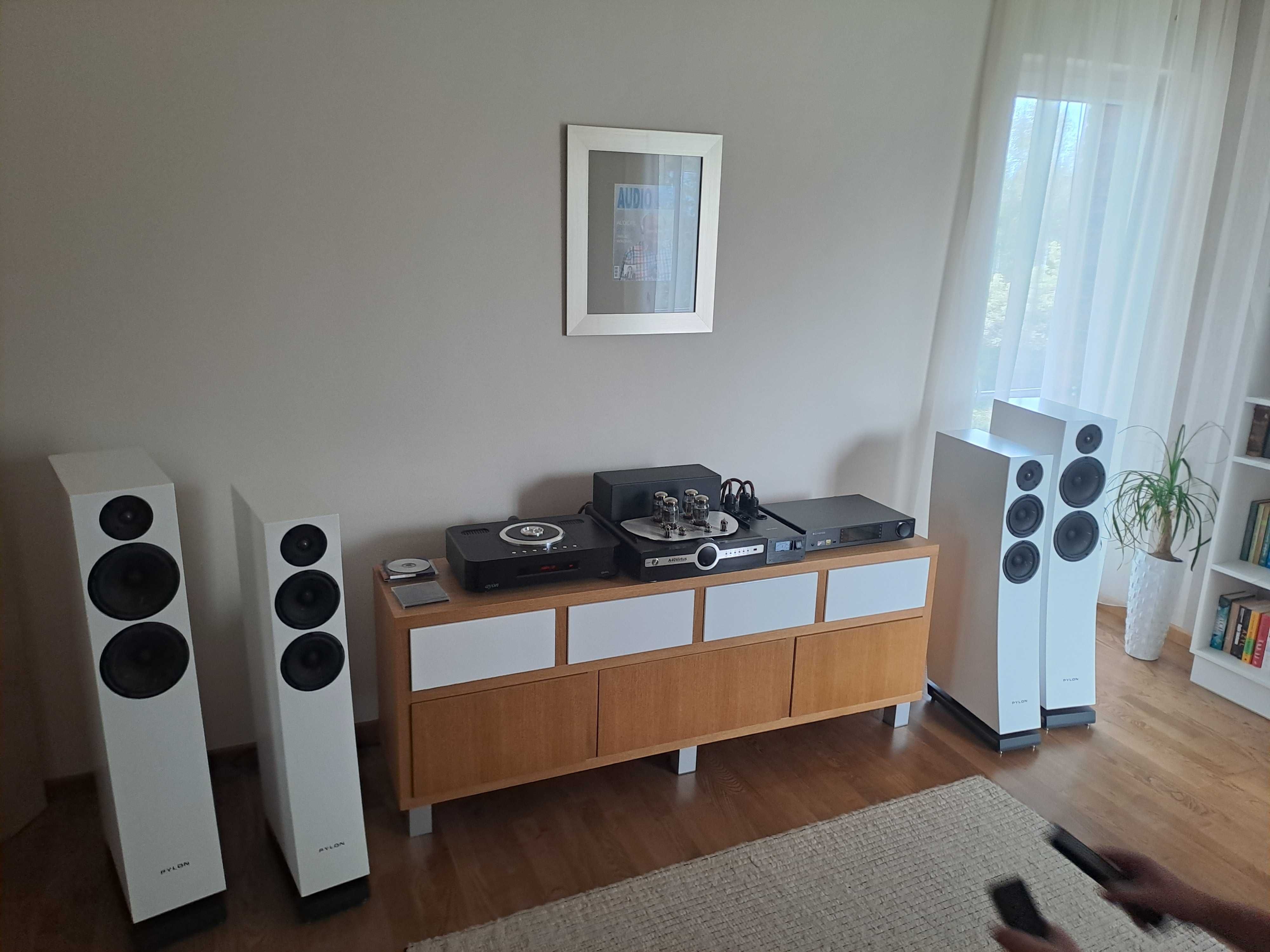 Pylon Audio Diamond 25 mkII para | raty WROCŁAW