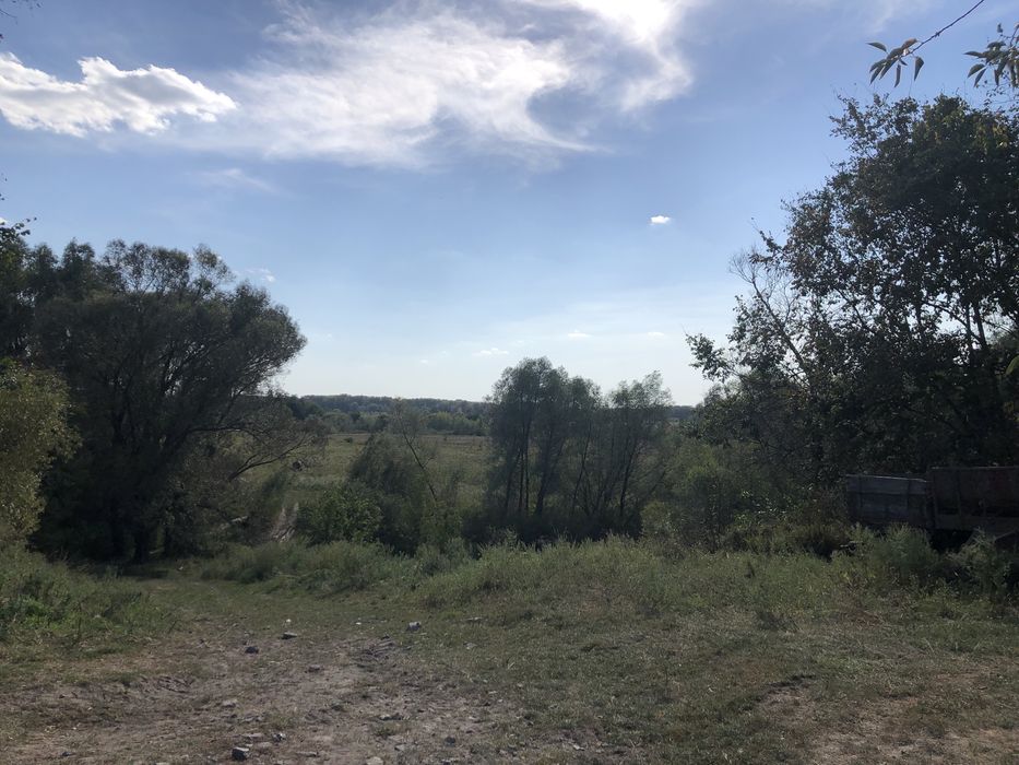 Продам будинок в с.Боромики