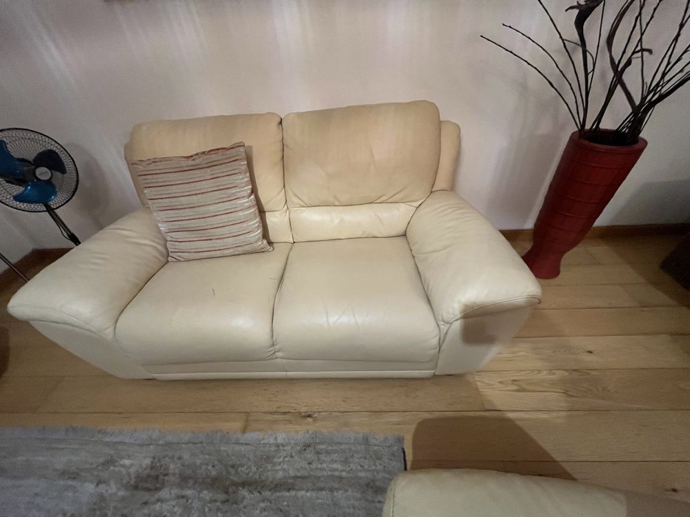 Sofas de cabedal (2 sofas )