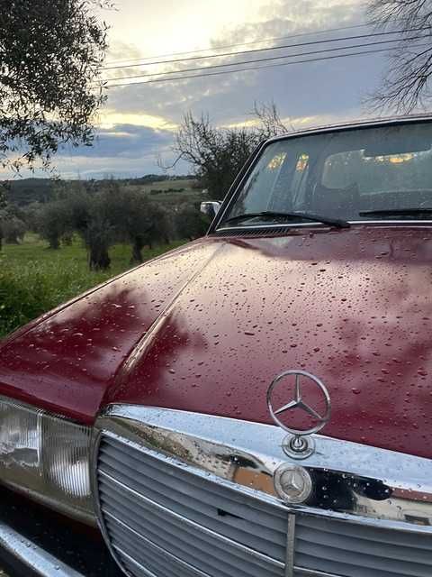 Mercedes Benz w123 clássico