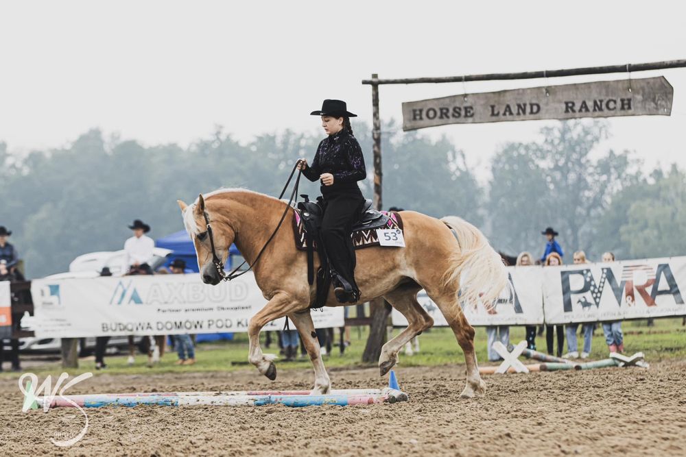 OKAZYJNA CENA Sprzedam klacz haflinger