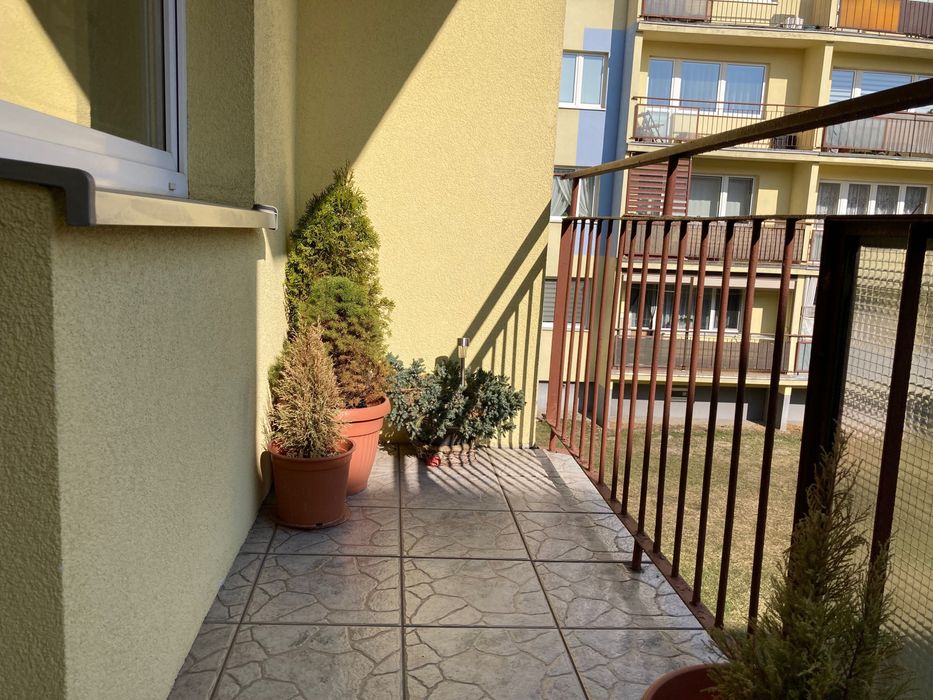 Wynajem Okazjonalny- Mieszkanie Oś. Południe