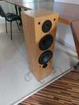 Kolumny Davis acoustics orsay