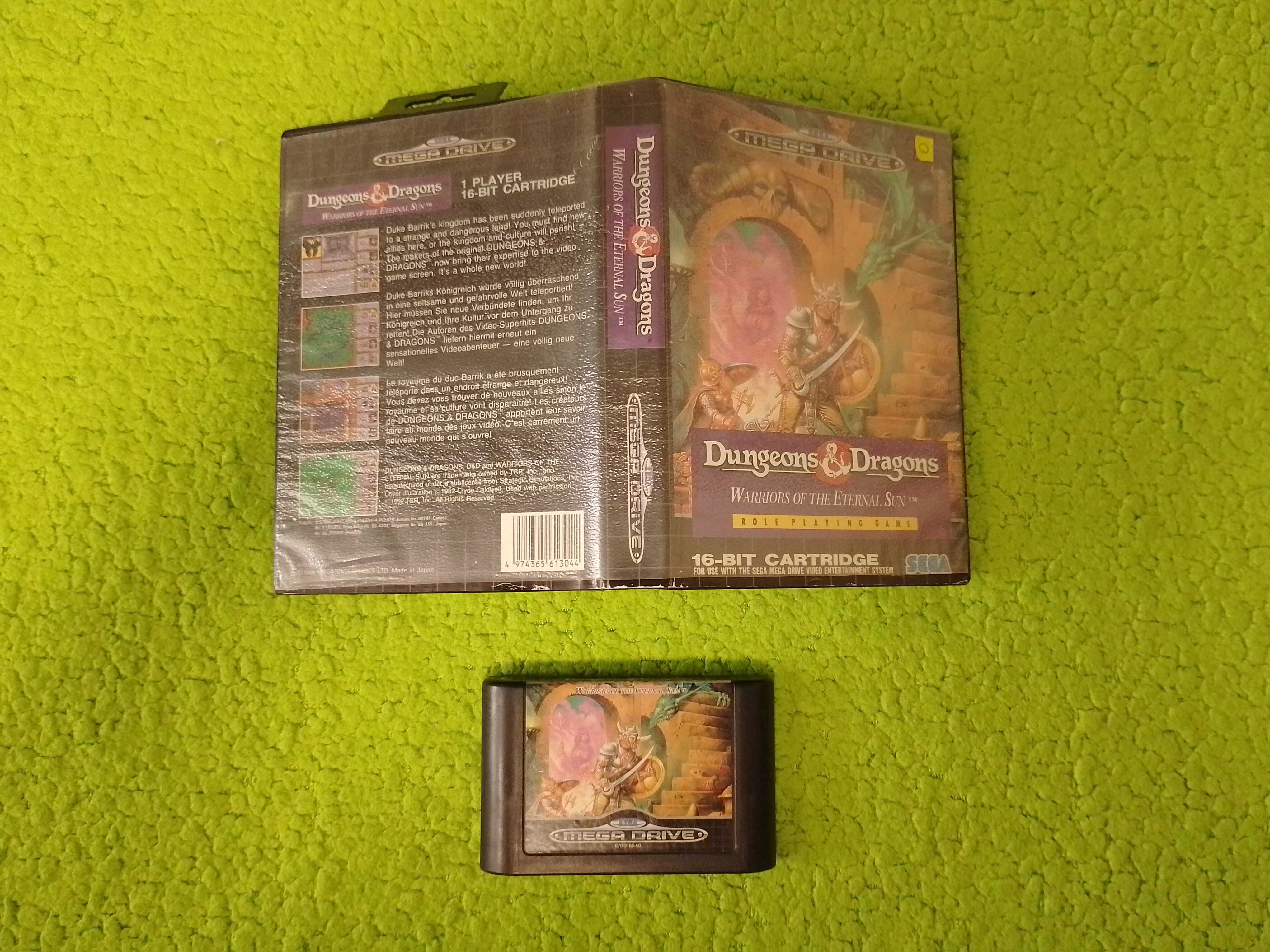 Warriors of the Eternal Sun Sega Mega Drive brak instrukcji