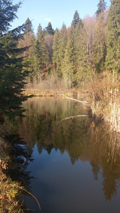 Продам будинок,в карпатах з озером,лісом навколо природа)