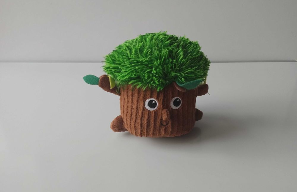 Gang fajniaków– Drzewo Dobromir